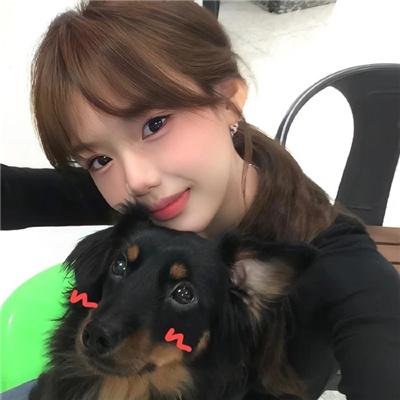 钢之炼金术师完结篇最后的炼成